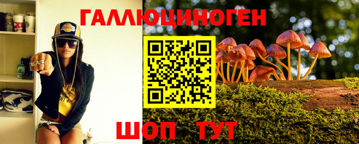 Галлюциногенные грибы прущие грибы Фролово
